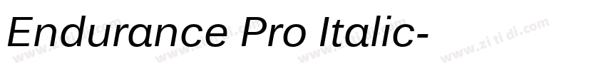 Endurance Pro Italic字体转换